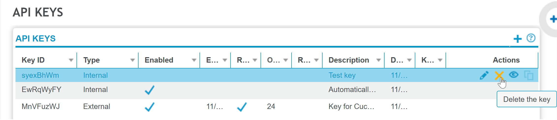 Delete selected API key